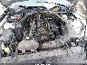 1FATP8UH6H5****** Reparables 2017 Ford Mustang en San Antonio South