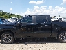 1GCPYJEK9NZ****** Repairable 2022 Chevrolet Silverado 1500 LTD in Louisiana State