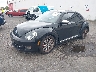 3VWVT7AT6DM****** Used and Repairable 2013 Volkswagen Beetle in Portland