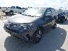 JTMZFREVXJJ****** Used and Repairable 2018 Toyota RAV4 in Austin