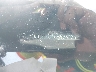 5NPD74LF6LH****** Used 2020 Hyundai Elantra in Gulf Coast