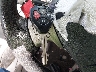 5YFBU4EE2DP****** Salvage 2013 Toyota Corolla in Texas State