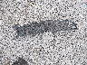 2GNALAEK5F6****** Wrecked 2015 Chevrolet Equinox in Kentucky State