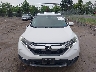 JHLRW2H56KX****** Destrozados 2019 Honda CR-V en Estado de Virginia