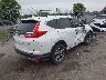 JHLRW2H56KX****** Salvamento y Destrozados 2019 Honda CR-V en Estado de Virginia