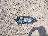 KL4CJASB5HB****** Wrecked 2017 Buick Encore in Ohio State