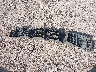 1C4BJWDGXJL****** Wrecked 2018 Jeep Wrangler in Texas State