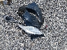KMHEC4A42EA****** Wrecked 2014 Hyundai Sonata Hybrid in Maryland State