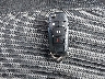 NM0LS7S29N1****** Salvage 2022 Ford Transit Connect in New York State