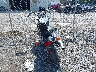 1HFSC1802WA****** Salvage and Repairable 1998 Honda Vt1100 in New York State