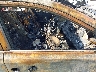 JTMRFREV2HJ****** Usados y Reparables 2017 Toyota RAV4 en Estado de Nebraska