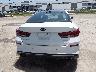 5XXGV4L21KG****** Wrecked 2019 Kia Optima