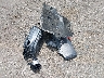 2C3CDXHGXHH****** Wrecked 2017 Dodge Charger in Michigan State