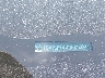 1C4RJHBG0PC****** Repairable 2023 Jeep Grand Cherokee