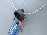 3NSG5W996SM****** Salvage 2025 Polaris Xpedition in New Mexico State
