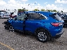 1FMCU9G61MU****** Salvage 2021 Ford Escape