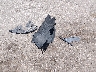 1FMCU9G61MU****** Wrecked 2021 Ford Escape in Texas State