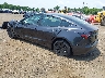 5YJ3E1EA1RF****** Salvamento y Reparables 2024 Tesla Model 3 en Sayreville