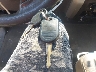 1FTFX1EV8AF****** Salvamento 2010 Ford F-150 en Estado de Massachusetts