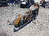 1HD1KRC10JB****** Salvage and Wrecked 2018 Harley-Davidson FLHXS in New Jersey State