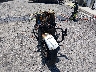1HD1KRC10JB****** Used and Repairable 2018 Harley-Davidson FLHXS in New Jersey State