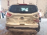 1FMCU9G99EU****** Salvamento y Reparables 2014 Ford Escape en Estado de Michigan