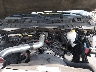 1D3HB18P89S****** Reparables 2009 Dodge Ram 1500 en Lexington