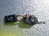 1FMCU0EG0CK****** Salvage 2012 Ford Escape in Illinois State