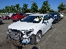 1G1ZD5ST4PF****** Salvamento y Reparables 2023 Chevrolet Malibu en Estado de Nueva Jersey