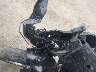 MLHMC4101C5****** Salvamento 2012 Honda CBR250R en Estado de Vermont
