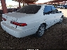 JT2BG22K1W0****** Salvage and Wrecked 1998 Toyota Camry in Arizona State
