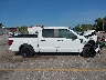 1FTEW2KP9TK****** Used 2026 Ford F-150 in Florida State
