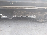 KNAE35LC7L6****** Salvamento y Reparables 2020 Kia Stinger en Estado de Kansas