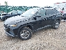 5NMJBCDE4RH****** Usados y Reparables 2024 Hyundai Tucson en Rochester