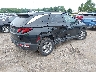 5NMJBCDE4RH****** Salvamento y Destrozados 2024 Hyundai Tucson en Estado de Nueva York