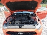 1FATP8UH5G5****** Repairable 2016 Ford Mustang in Gulf Coast
