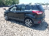 1FMCU0J9XEU****** Salvage and Repairable 2014 Ford Escape in Lexington