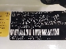 2T2HK31U59C****** Used 2009 Lexus RX 350 in Saint Cloud