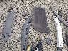 4T1B11HK1KU****** Salvage and Repairable 2019 Toyota Camry in Eugene
