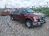1FTEW1EF5FK****** Salvamento y Destrozados 2015 Ford F-150 en Pittsburgh