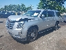 1GYS4HKJ2HR****** Used and Repairable 2017 Cadillac Escalade ESV in Englishtown