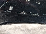 WBAJA5C59KB****** Salvage 2019 BMW 5 Series