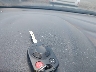 1FADP3F21EL****** Salvamento 2014 Ford Focus en Estado de Ohio