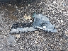 1FADP3F21EL****** Destrozados 2014 Ford Focus en Estado de Ohio