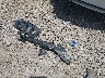 5J8TB4H73JL****** Wrecked 2018 Acura RDX in Tennessee State