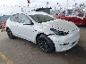 5YJYGDEE4MF****** Salvage and Wrecked 2021 Tesla Model Y in North Hollywood