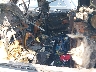 3GCUKTEC7FG****** Salvage and Repairable 2015 Chevrolet Silverado 1500 in Tennessee State