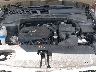 5XYPH4A18HG****** Repairable 2017 Kia Sorento in Fort Myers