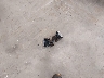 1C4NJPFA0GD****** Destrozados 2016 Jeep Patriot en Estado de Minnesota