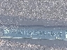 4T1G11AKXMU****** Usados 2021 Toyota Camry